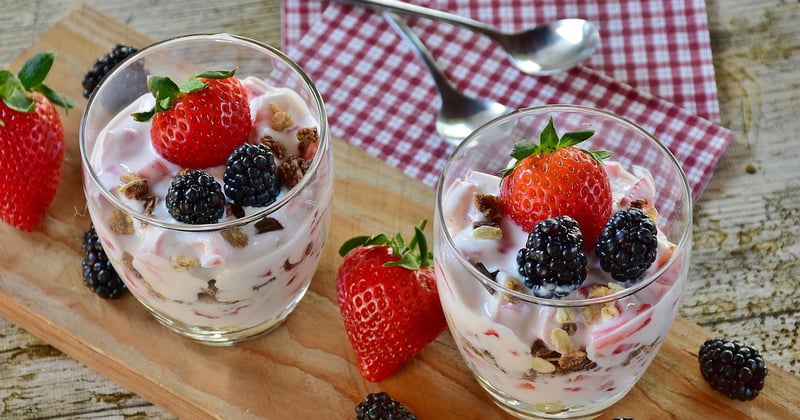 Yaourt en cuisine : comment remplacer la crème fraîche sans se tromper