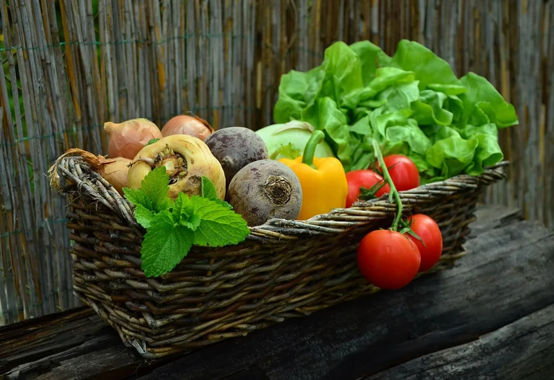 L'essentiel : les bases d'une cuisine végétarienne qui claque
