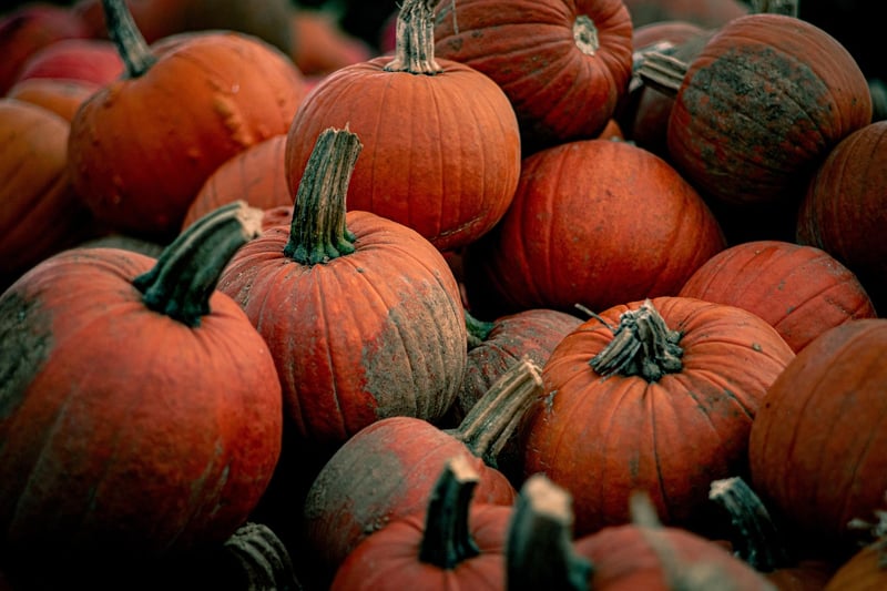 citrouilles