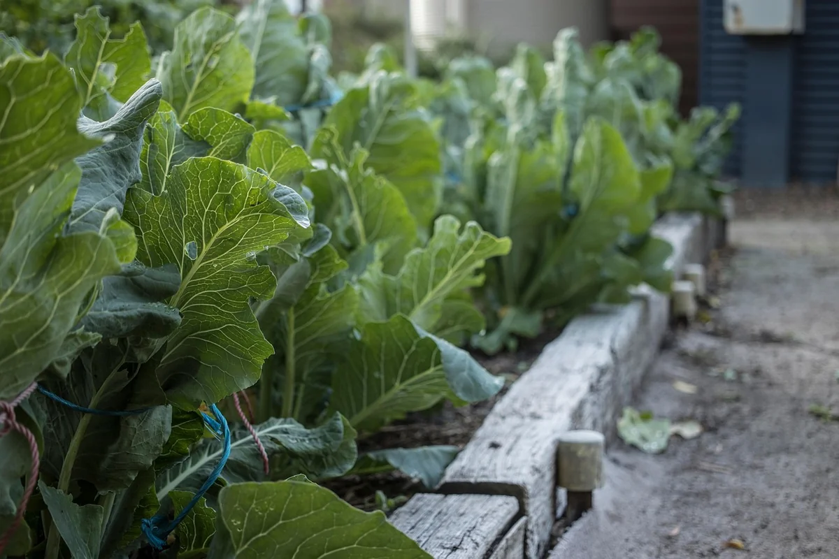 lit de jardin