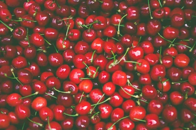 cerises